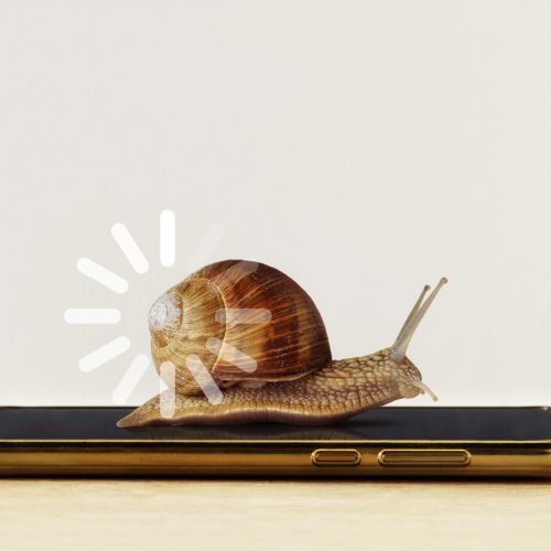 Snail with loading sign on smartphone -  Concept of slow Internet speed and slow progress loading bar